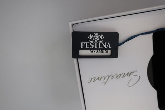 Dameur FESTINA Smartwatch 50002/2 Smartime