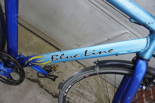 Herrecykel, BLUE LINE/AVELON