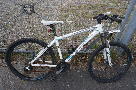 Mountainbike, X-ZITE