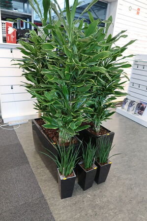 5 stk. Planter