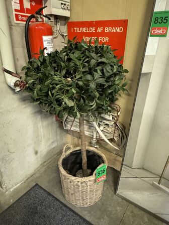 Kunstig plante 