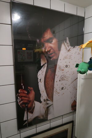 Indrammet billede "Elvis Presley"