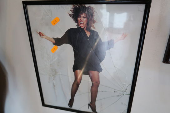 Indrammet billede "Tina Turner"