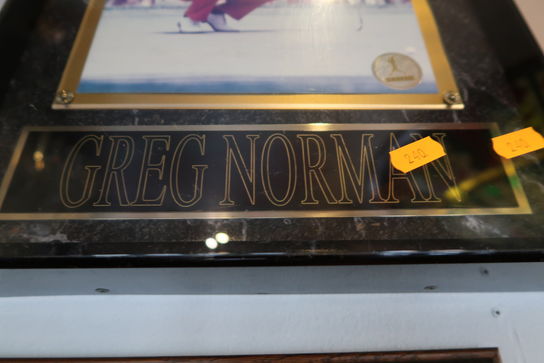 Indrammet billede "Greg Norman"