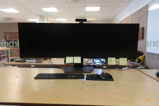 Monitor, DELL U4919DW