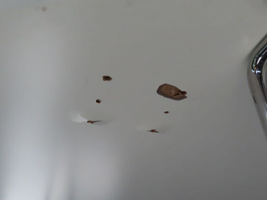 Piet Hein Super Ellipse bord