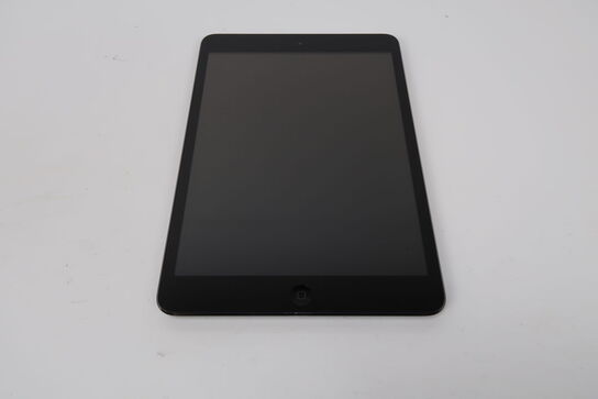 Apple iPad mini (1st Gen) Wi-Fi - 16GB