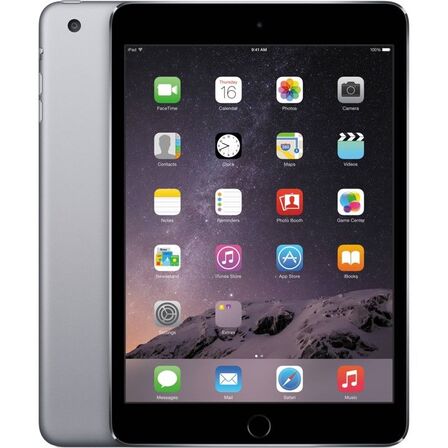 Apple iPad mini (1st Gen) Wi-Fi - 16GB