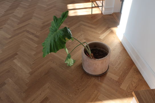 Krukke med plante