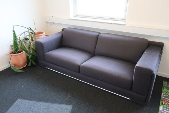 Sofa samt potteplanter