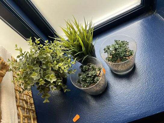 Fletkurve samt kunstige planter