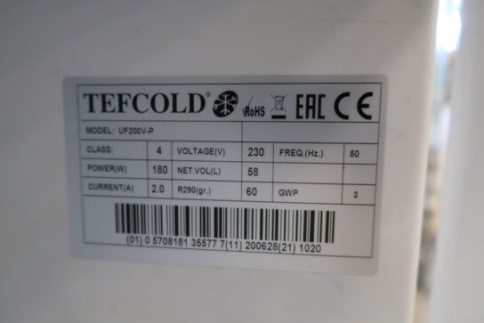 Freezer TEFCOLD