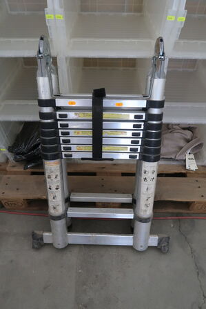 Telescopic ladder