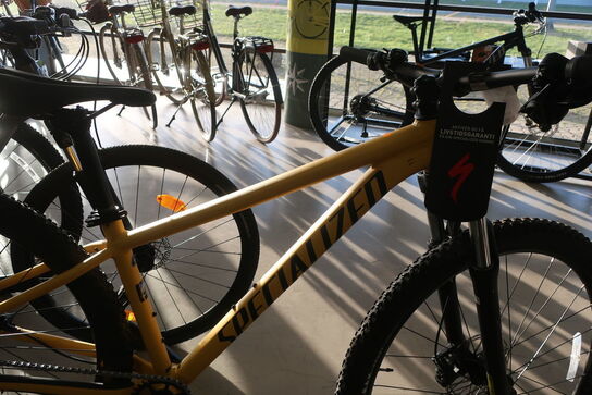 Mountainbike SPECIALIZED Rockhopper Comp 29