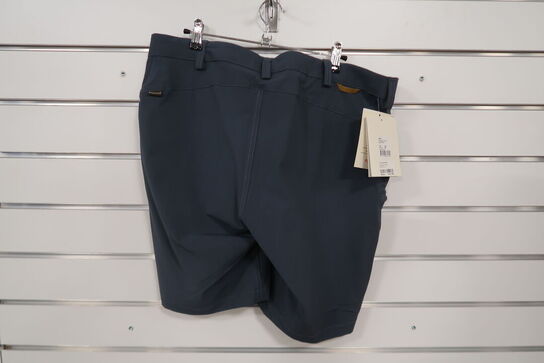 Pinewood Abisko SHORTS Str. 46 Indigo blue