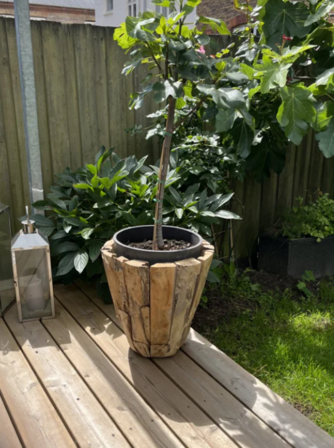 Rustk vase i teaktræ - H 60 cm