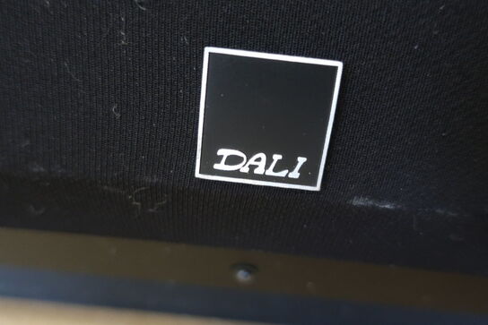 Subwoofer DALI SW A-12