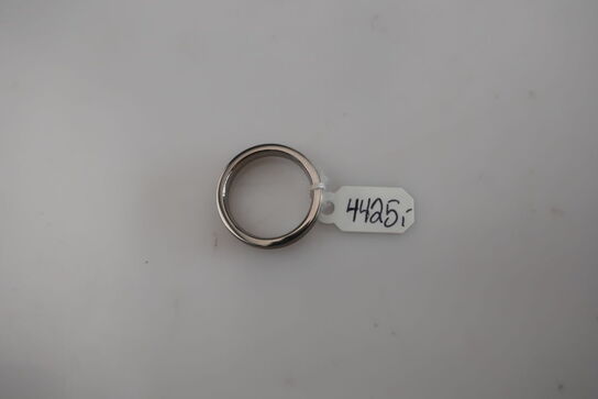 Ring i titanium