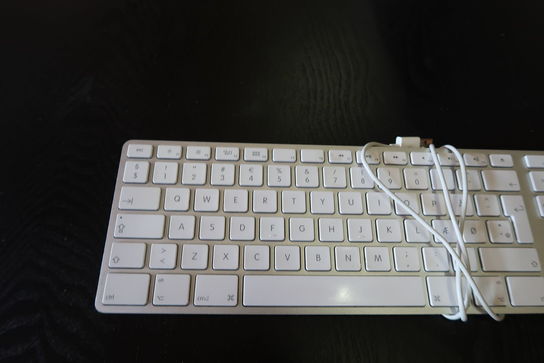 Apple Keyboard A1243