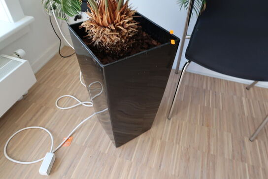 Plante i krukke