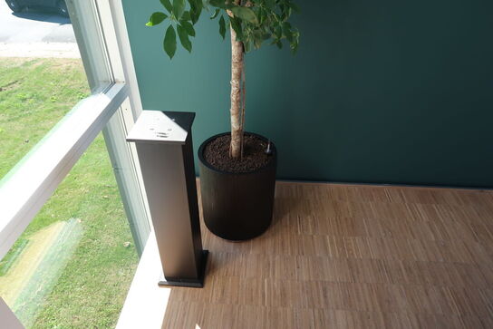 Plante i krukke