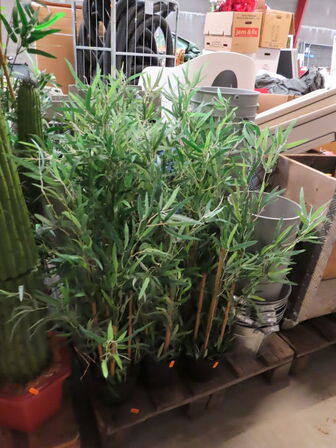 Diverse falske planter