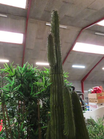 Diverse falske planter