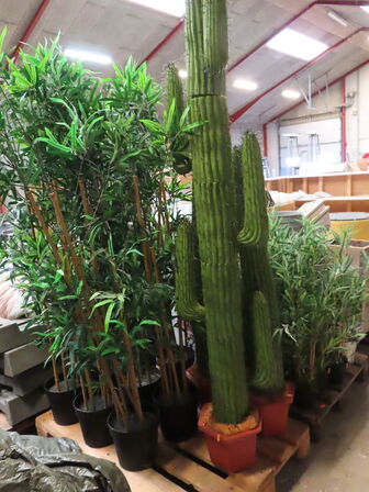 Diverse falske planter