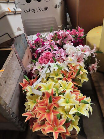 Diverse falske planter
