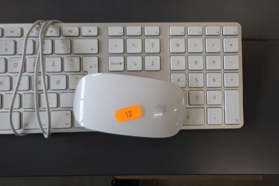 Tastatur samt mus APPLE