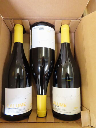 6 fl. hvidvin, DOMINIO DO BIBEI LALUME, Ribeiro 2018