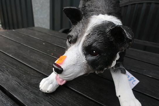 Stående Boder Collie H33 cm.