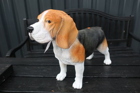 Stående Beagle H37 cm.