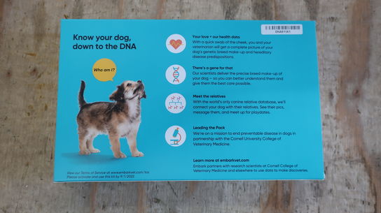 2 stk. Hunde DNA test