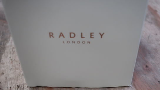 Smartwatch  RADLEY LONDON