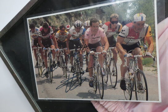 Førertrøje Giro d'Italia 1985 "Bernard Hinault" samt 2 stk. signaturer