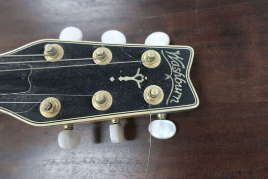 Signeret guitar WASHBURN