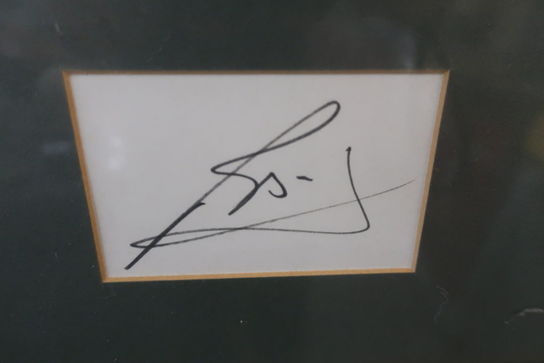 Signeret billede "Gabriel Batistuta"