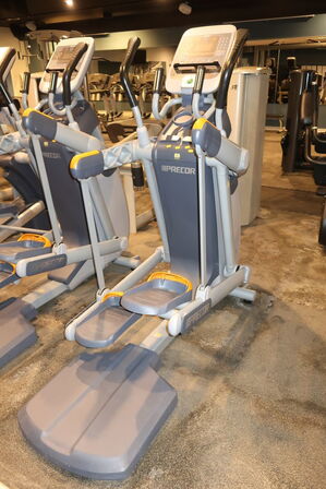 Crosstainer PRECOR 100i (Defekt)