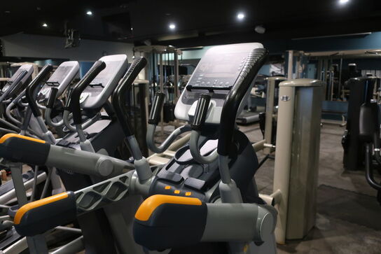 Crosstainer PRECOR 100i (Defekt)