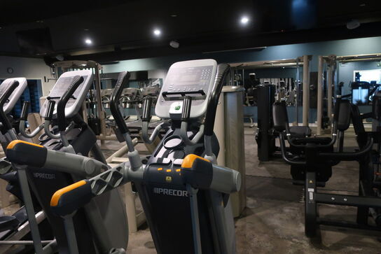 Crosstainer PRECOR 100i (Defekt)