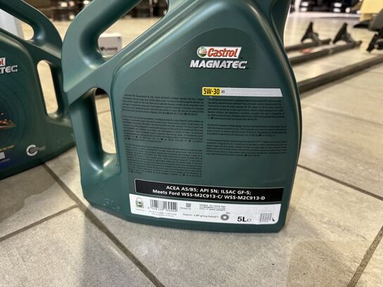 4 fl. Castrol Magnatec 5W-30 5 Liter