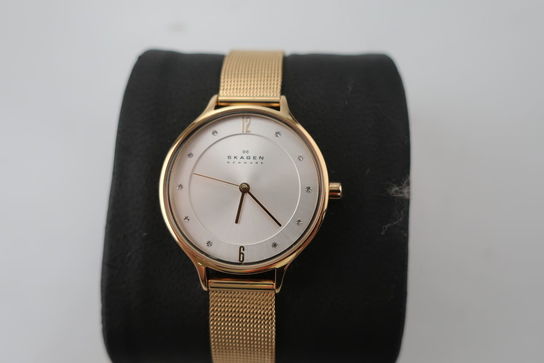 Dameur SKAGEN SKW2150