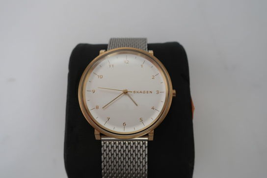 Herreur SKAGEN SKW6170