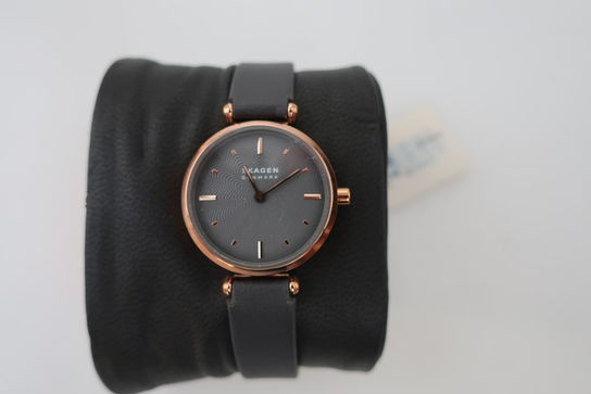 Dameur SKAGEN SKW2995