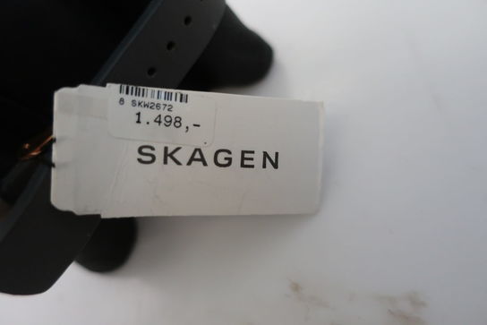 Dameur SKAGEN SKW2672