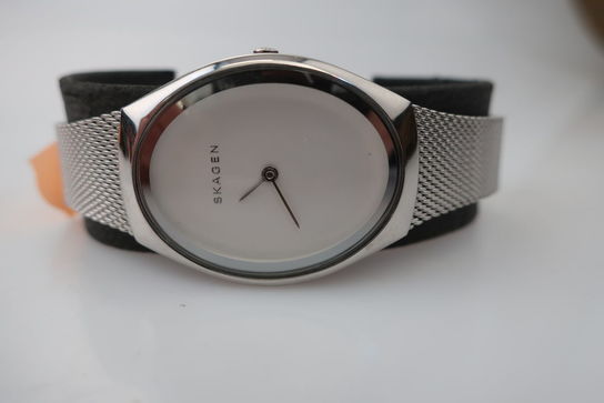 Dameur SKAGEN SKW2297