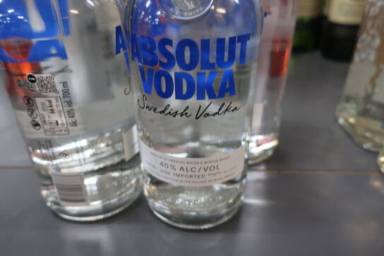 5 flasker vodka ABSOLUT VODKA