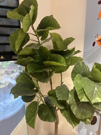 Plante i krukke