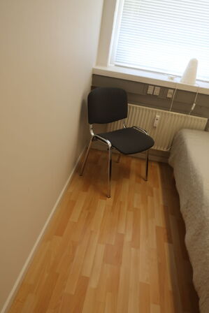 Seng, reol, stol, bordlampe samt spejl